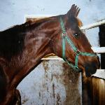 Isturia - 1999 r.