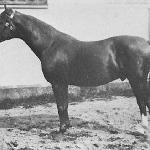 Attino