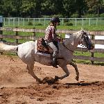 Tanganika - Zawody western i rodeo 2010<br />&copy; Aneta Markisz