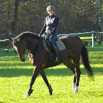 In Shalla<br /><i>Hipodrom Racot, listopad 2014</i>