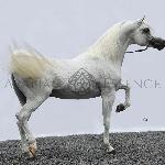 Al Lahab