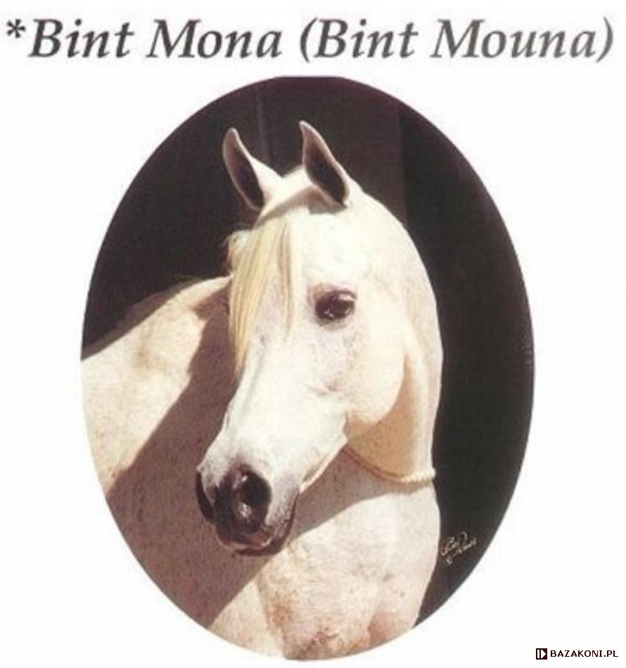 Bint Mona / Bint Mouna