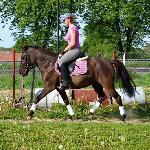 Czakra - maj 2011
