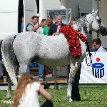 Albano - Albano 2016<br />&copy; Anna Pyzara-Ratajczak