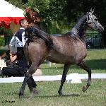 Pustynna Malwa - Pustynna Malwa 2011<br />&copy; Anna Pyzara-Nakoniechnaia