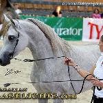 Echo Apollo - Echo Apollo 2009<br />&copy; Irina Filsinger