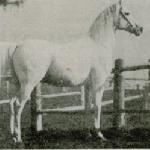 Mahomet