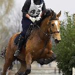 Asta - Asta - Jaroszówka 2006 r.