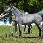 Parys - Białka 2010<br />&copy; Ewa Imielska-Hebda