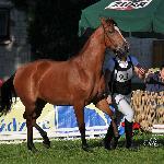 Elegancja - Białka 2010<br />&copy; Ewa Imielska-Hebda