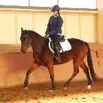 Drzemka - ZT Bogusławice 2010<br />&copy; Oliwia Chmielewska