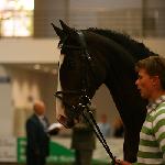 Tradycja - Polagra 2008<br />&copy; faraa