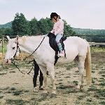 Mesalinka - 9-letnia, Ośrodek Jeździecki Lalin / wrzesień 2006 rok