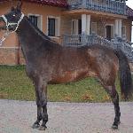 Malinka