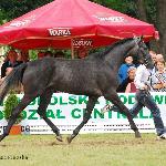 Pardwa - NCKM Białka 2011<br />&copy; Oliwia Chmielewska