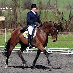 Bakcyl - AUDI CENTRUM WROCŁAW CUP 2010<br />&copy; Katarzyna Boryna
