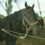 Demoniak<br />&copy; kejti<br /><i>rok 1991</i>