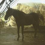 Demoniak<br />&copy; kejti<br /><i>rok 1991</i>