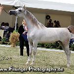 Golteria - Golteria 2008<br />&copy; Irina Filsinger