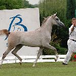 Golteria - Białka, czerwiec 2007<br />&copy; Katarzyna Dolińska