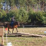 Preria<br /><i>2015</i>