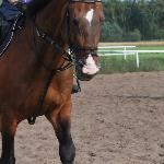 Allegro