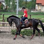 Krotoszyn