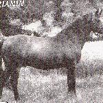 Arianin