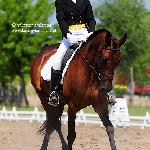 Haleona<br />&copy; Katarzyna Boryna