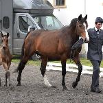 Chloe<br /><i>SK Racot, Wiosenny Przegląd Hodowlany 27 kwietnia 2017</i>