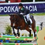 Amaretto - ZO Glinik Zaborowski 2014<br />&copy; Klaudia Lorenc