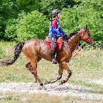 Amerykanin - Compiegne 2014<br />&copy; Ruud Overes
