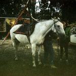 Ranczera / Ranhera - rok 1991<br />&copy; kejti