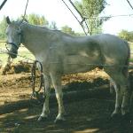 Akryl<br />&copy; kejti<br /><i>rok 1991</i>