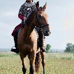 Czagaj