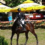Zacateca II W