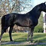 Wizjoner - listopad 2019<br />&copy; Anna Pyzara-Nakoniechnaia