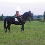 Jaz