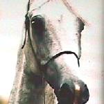 Elbana