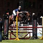 Corvus Z - ZR-B Starogard 06.2014<br />&copy; Baza Koni