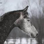 Portina<br />&copy; Katarzyna Broda