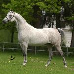 Alegoria - Alegoria 2006<br />&copy; Stuart Vesty