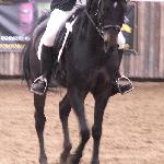 Orsk<br /><i>II Mistrzostwa Polski Western i Rodeo dla koni arabskich w Korytach k/Prażmowa</i>