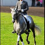 Avagon - Parada Ogierów, SO Celle (Niemcy) 2009<br />&copy; Oliwia Chmielewska