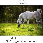 Alabama