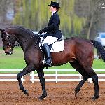Baron<br />&copy; Katarzyna Boryna