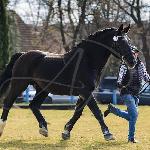 Hutor