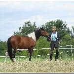 Prymula - Chmielewo 2012<br />&copy; Beata Gan