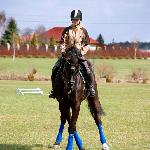 Bella-Canta 'R' - Trening na dworze