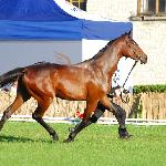Modena - Białka 2010<br />&copy; Oliwia Chmielewska